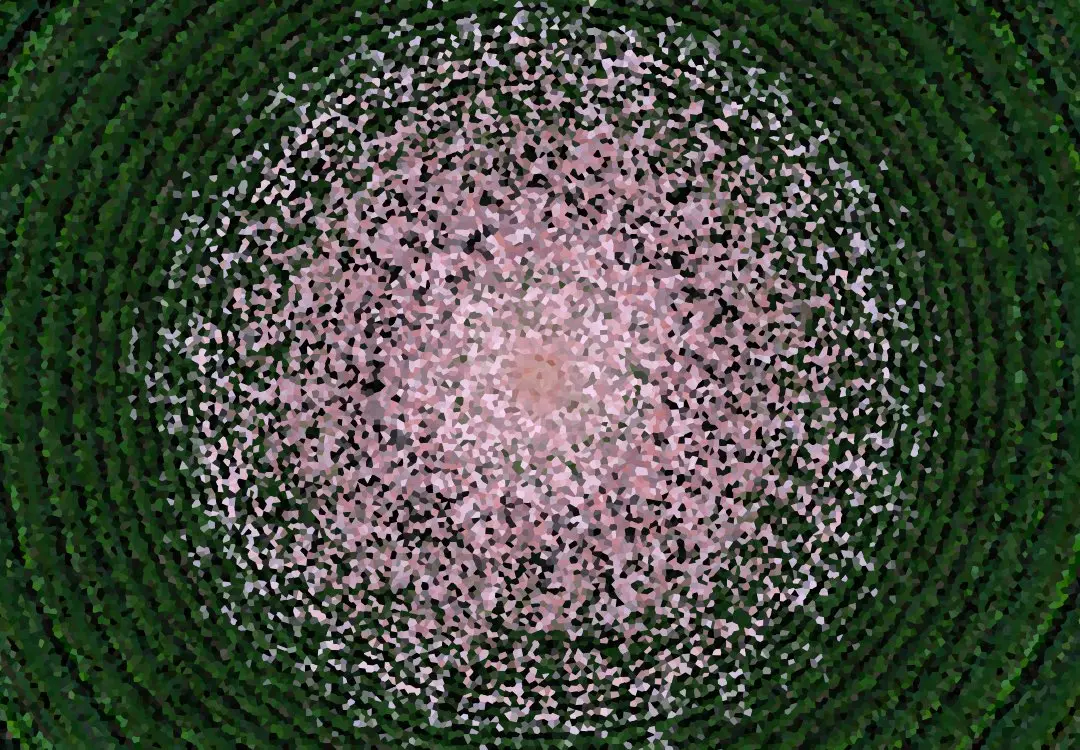Particles of Nature Particles of Nature